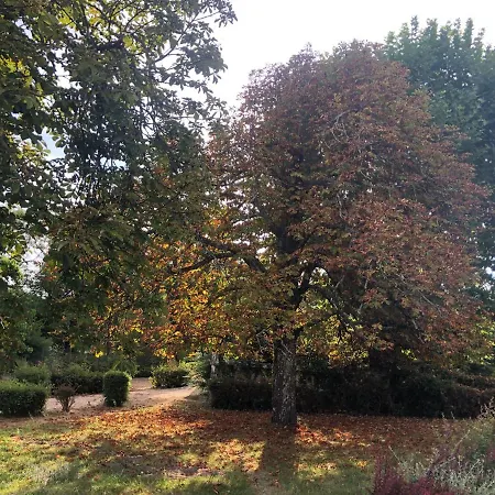 Insolite - Domaine Shanti Lande Ménesplet